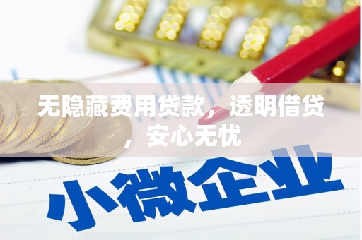 洪江无隐藏费用贷款，透明借贷，安心无忧