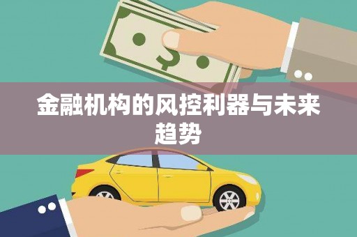 洪江金融机构的风控利器与未来趋势