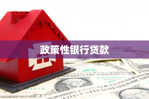 洪江政策性银行贷款