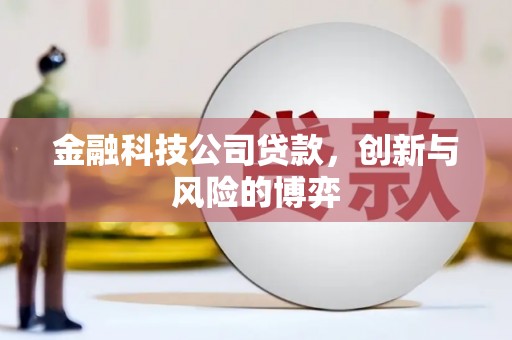 洪江金融科技公司贷款，创新与风险的博弈