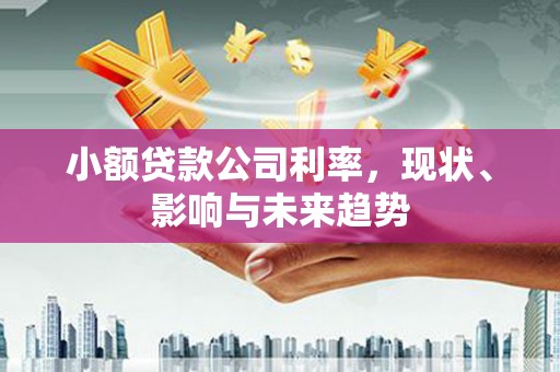 洪江小额贷款公司利率，现状、影响与未来趋势