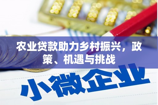 洪江农业贷款助力乡村振兴，政策、机遇与挑战