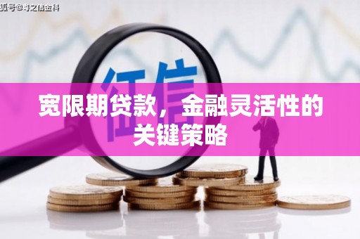 洪江宽限期贷款，金融灵活性的关键策略