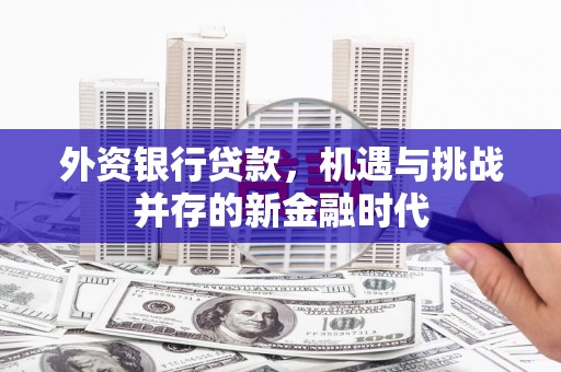 洪江外资银行贷款，机遇与挑战并存的新金融时代