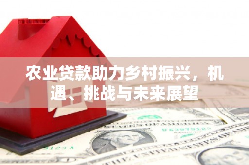 洪江农业贷款助力乡村振兴，机遇、挑战与未来展望