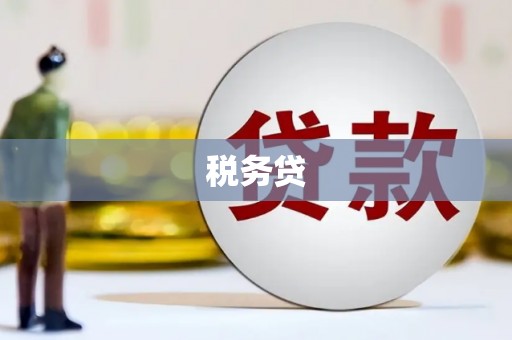 洪江税务贷