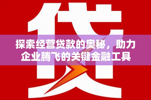 洪江探索经营贷款的奥秘，助力企业腾飞的关键金融工具