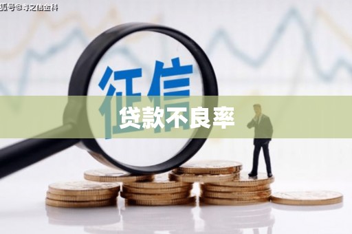 洪江贷款不良率