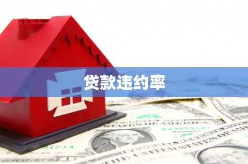 洪江贷款违约率