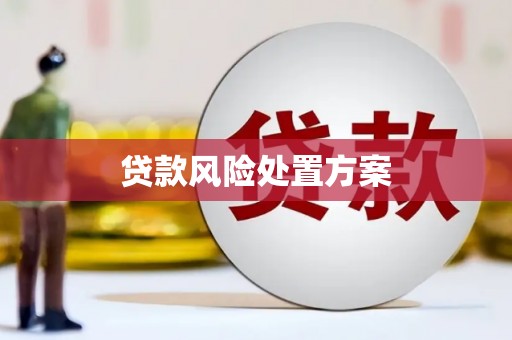 洪江贷款风险处置方案