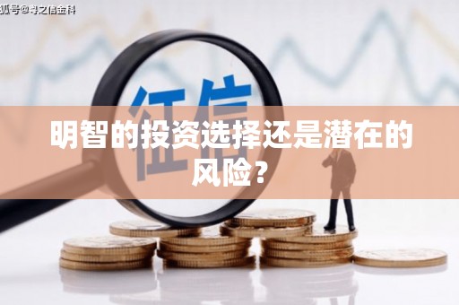 洪江明智的投资选择还是潜在的风险？