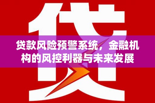 洪江贷款风险预警系统，金融机构的风控利器与未来发展