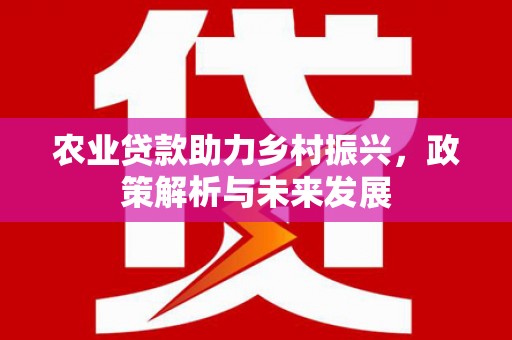 洪江农业贷款助力乡村振兴，政策解析与未来发展