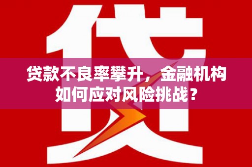 洪江贷款不良率攀升，金融机构如何应对风险挑战？