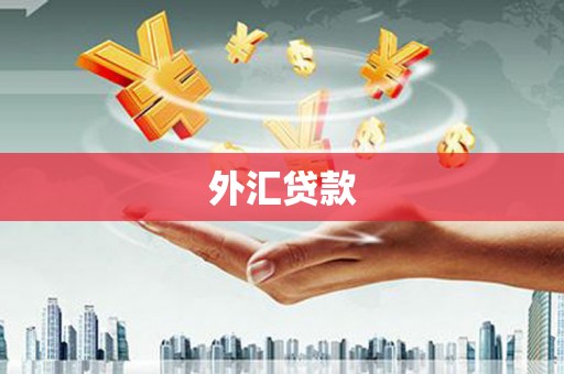 洪江外汇贷款