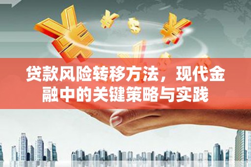 洪江贷款风险转移方法，现代金融中的关键策略与实践