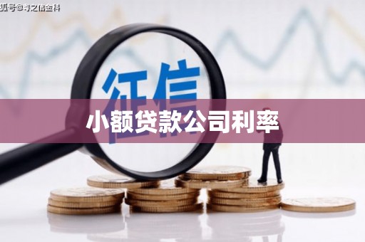 洪江小额贷款公司利率