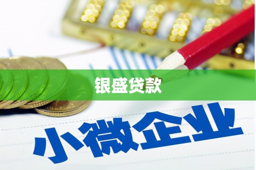 洪江银盛贷款
