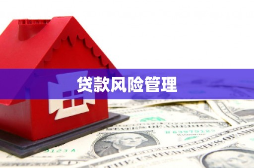 洪江贷款风险管理