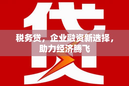 洪江税务贷，企业融资新选择，助力经济腾飞