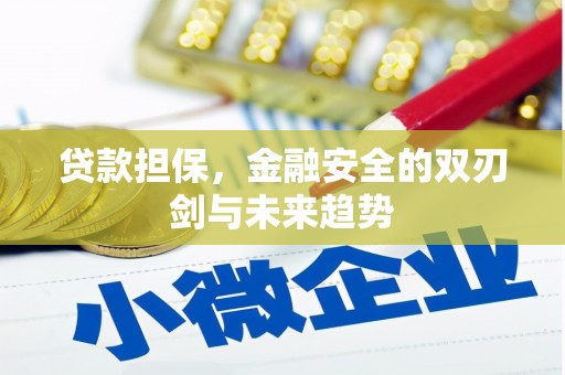 洪江贷款担保，金融安全的双刃剑与未来趋势