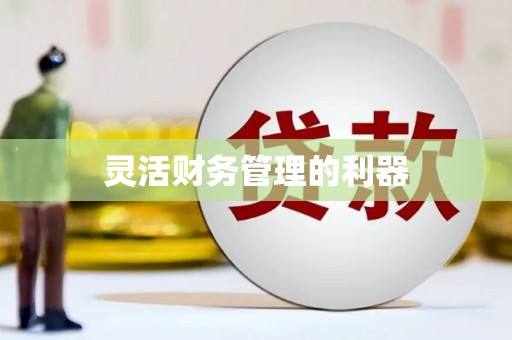 洪江灵活财务管理的利器