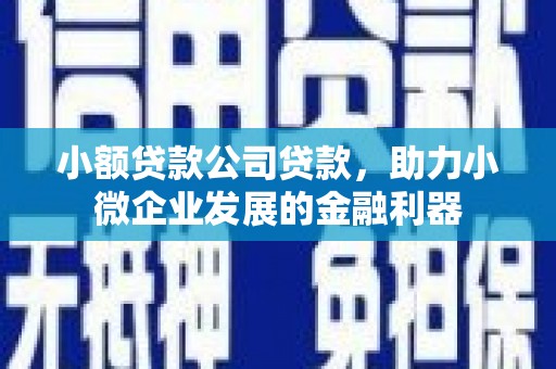 洪江小额贷款公司贷款，助力小微企业发展的金融利器