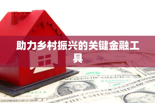 洪江助力乡村振兴的关键金融工具