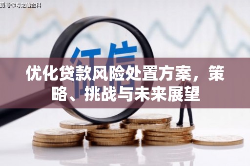 洪江优化贷款风险处置方案，策略、挑战与未来展望