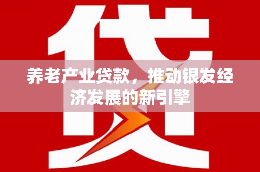 洪江养老产业贷款，推动银发经济发展的新引擎