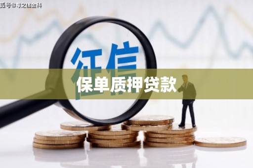 洪江保单质押贷款