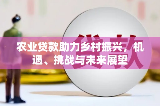 洪江农业贷款助力乡村振兴，机遇、挑战与未来展望