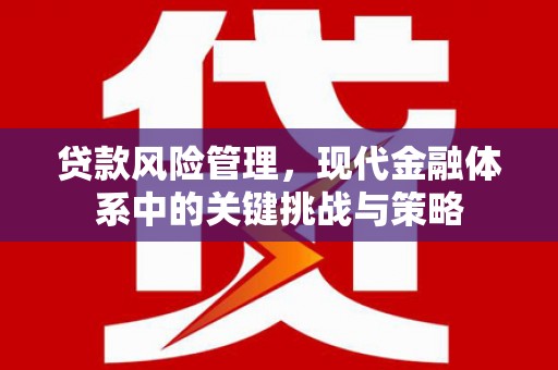 洪江贷款风险管理，现代金融体系中的关键挑战与策略