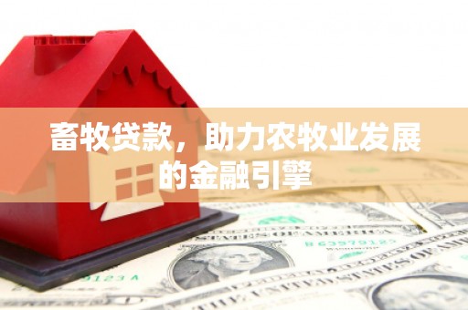 洪江畜牧贷款，助力农牧业发展的金融引擎