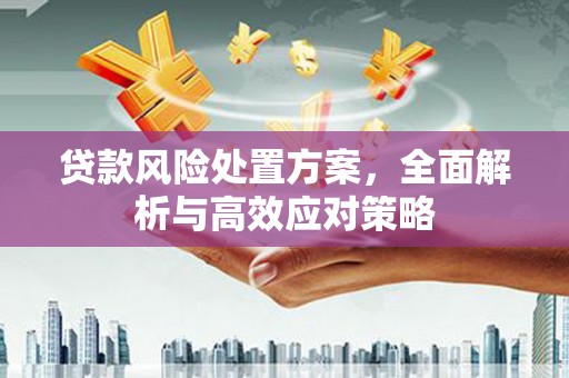 洪江贷款风险处置方案，全面解析与高效应对策略