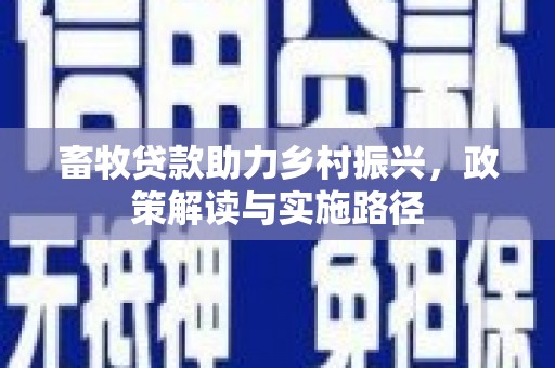 洪江畜牧贷款助力乡村振兴，政策解读与实施路径