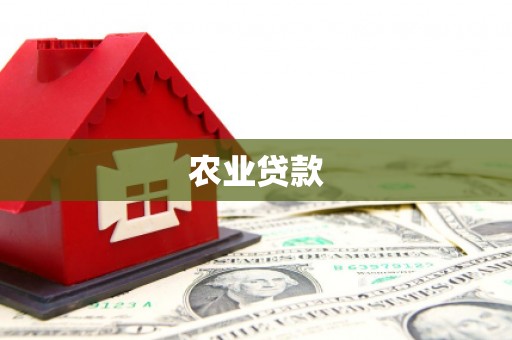 洪江农业贷款