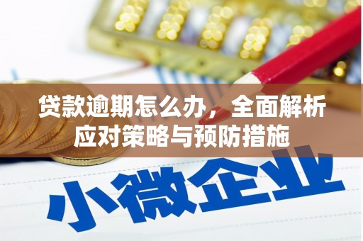 洪江贷款逾期怎么办，全面解析应对策略与预防措施
