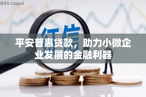 洪江平安普惠贷款，助力小微企业发展的金融利器