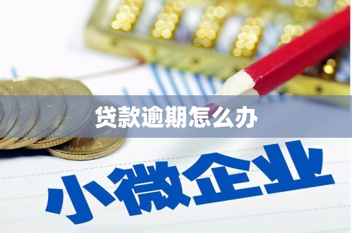 洪江贷款逾期怎么办