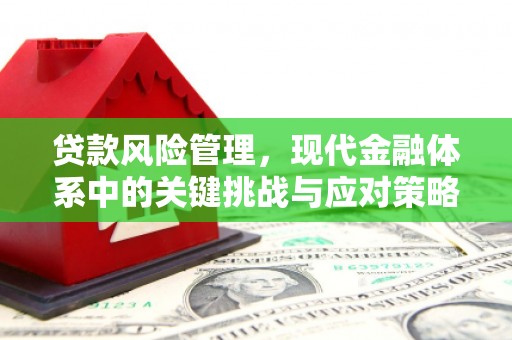 洪江贷款风险管理，现代金融体系中的关键挑战与应对策略