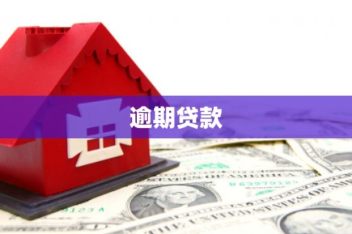 洪江逾期贷款