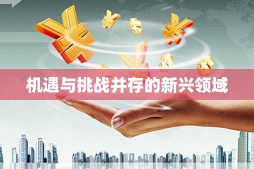 洪江机遇与挑战并存的新兴领域
