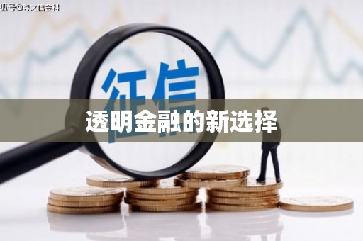 洪江透明金融的新选择