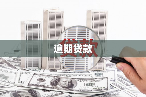 洪江逾期贷款